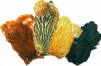 Indické slepice - přírodní barvy